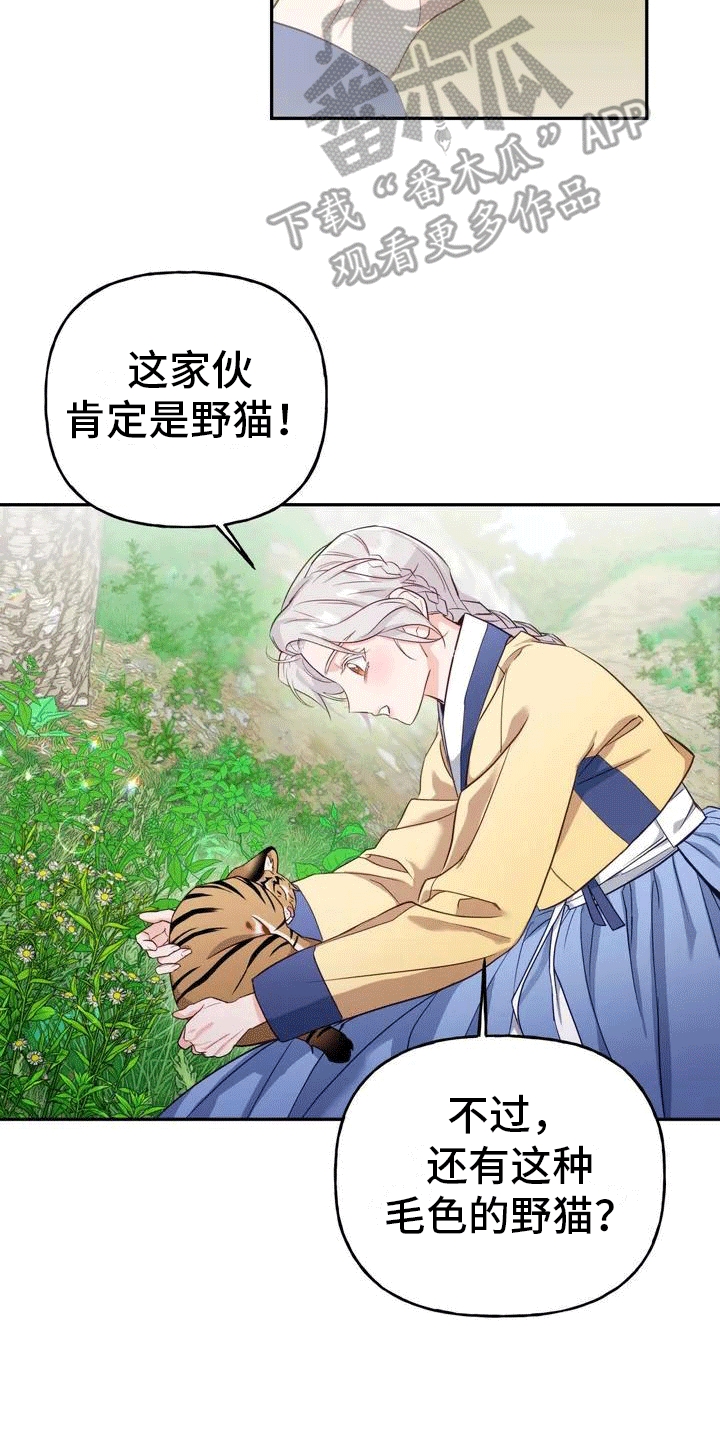 《养虎为患》第4章老虎 第2页