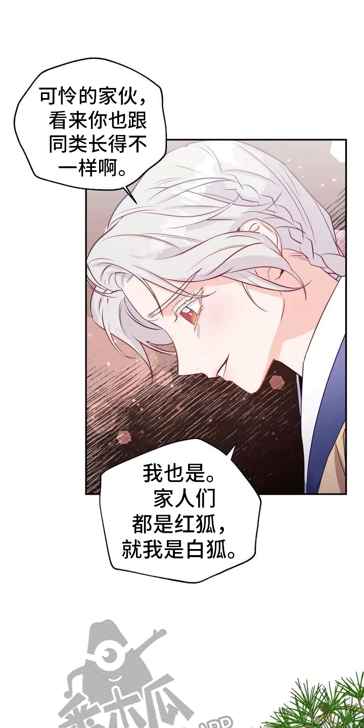 《养虎为患》第4章老虎 第3页