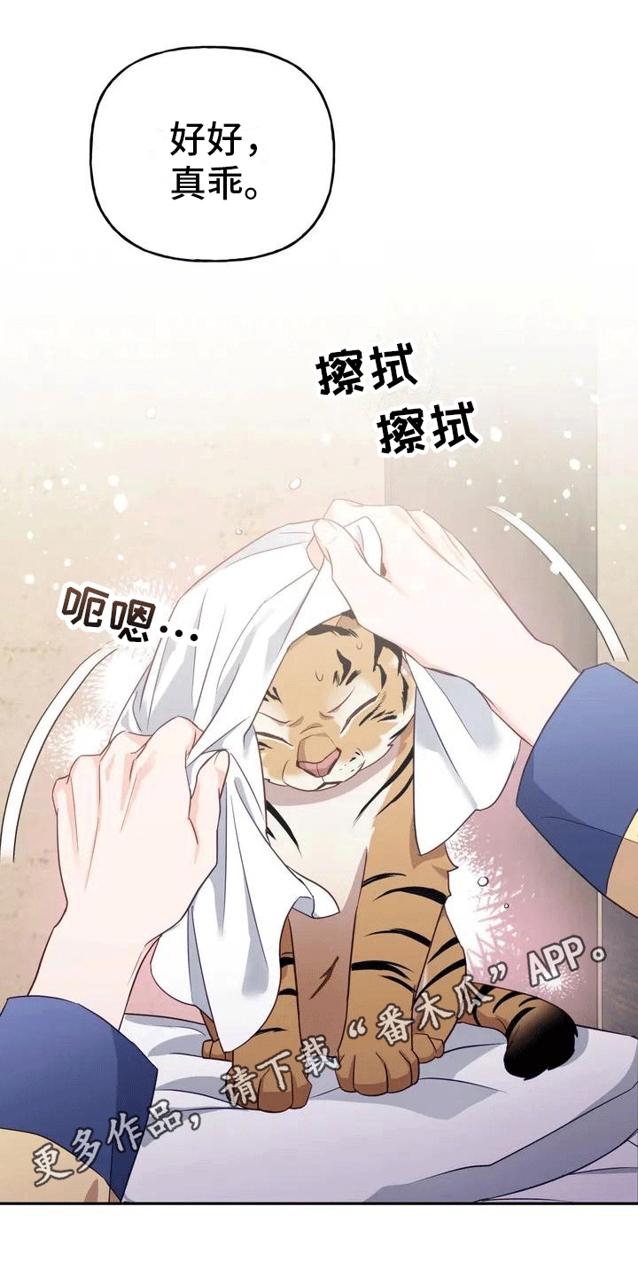 《养虎为患》第4章老虎 第7页