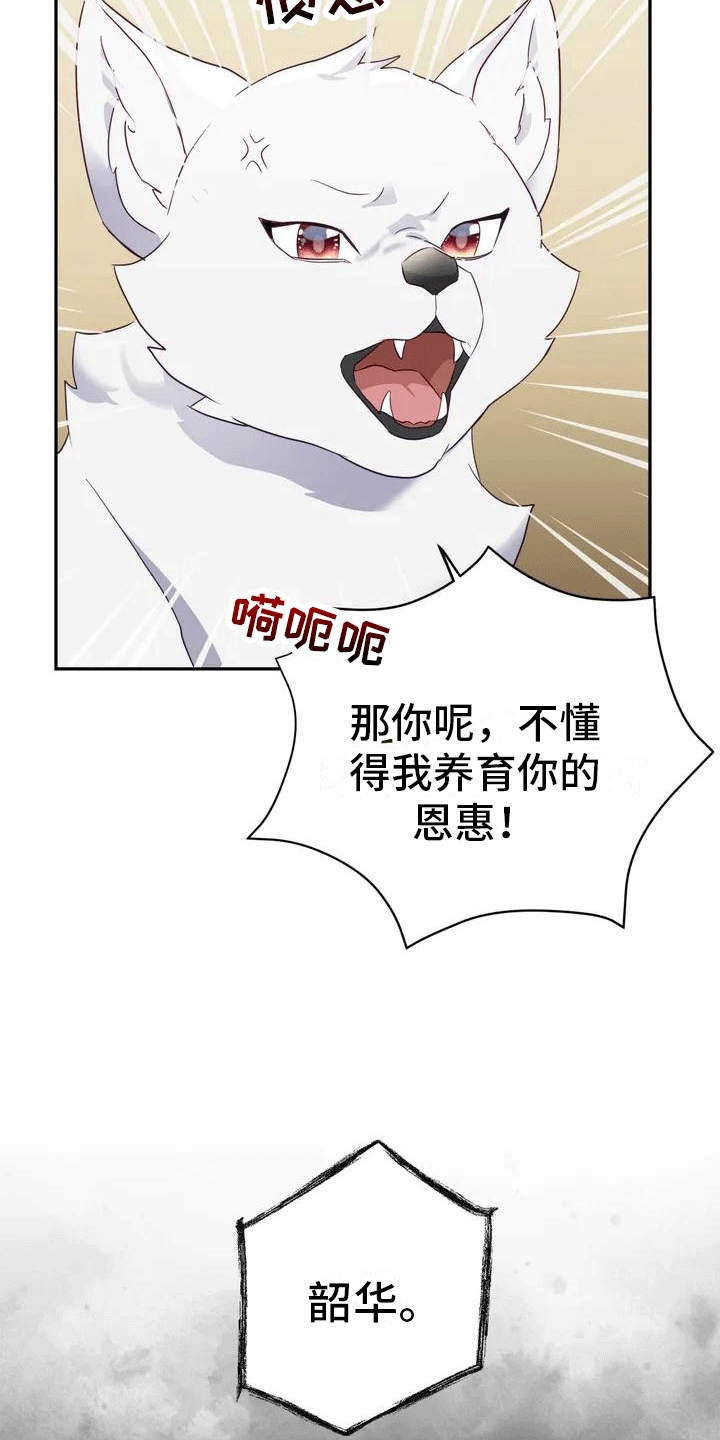 《养虎为患》第1章威胁 第19页