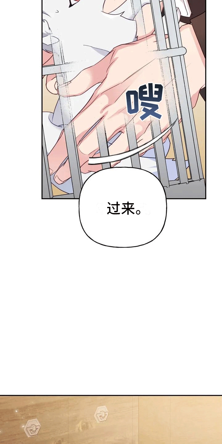 《养虎为患》第1章威胁 第25页