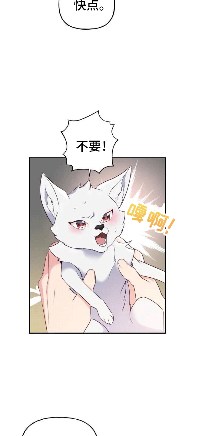 《养虎为患》第1章威胁 第28页