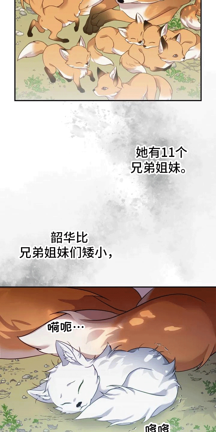 《养虎为患》第2章抛弃 第18页