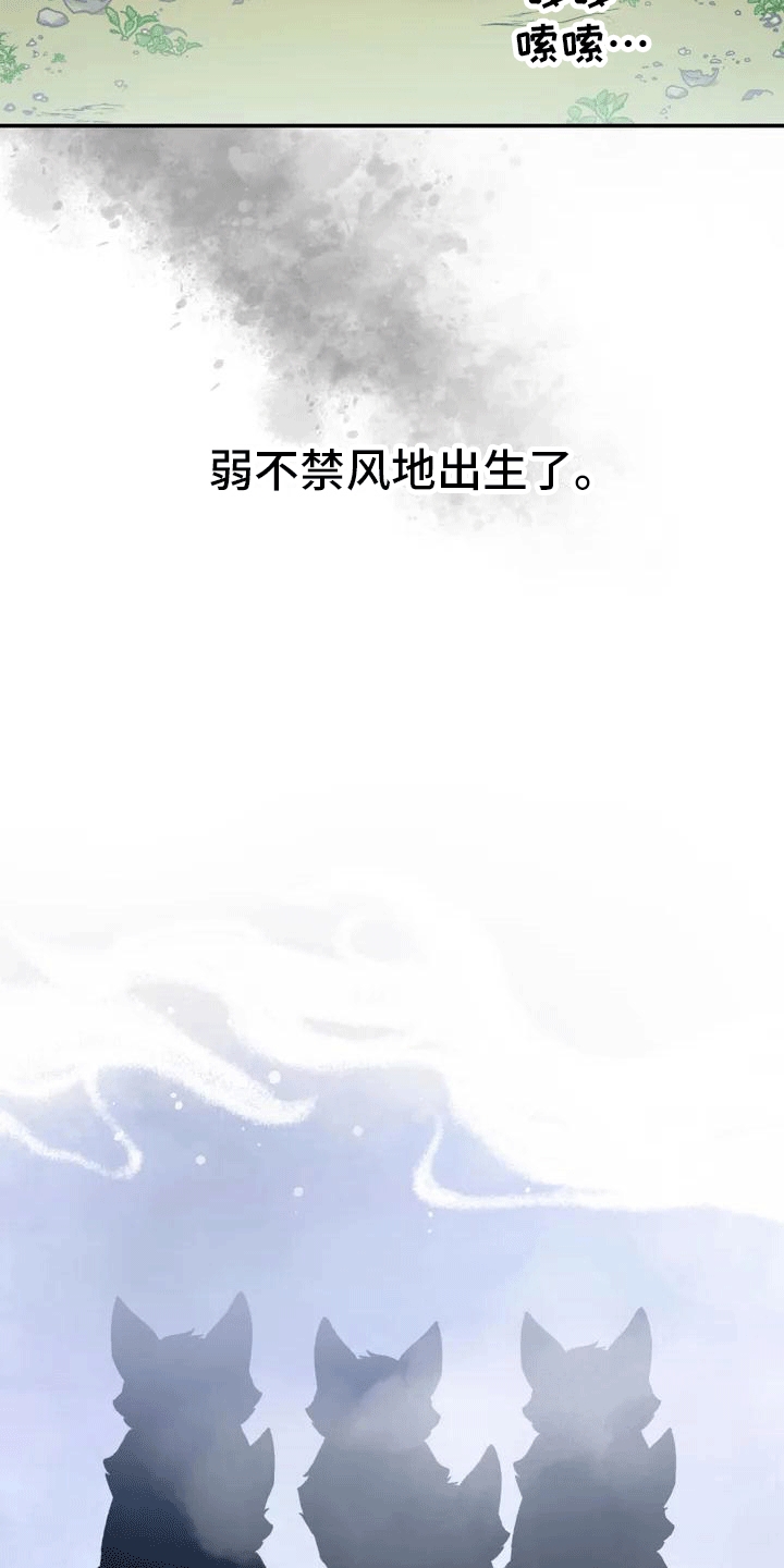 《养虎为患》第2章抛弃 第19页