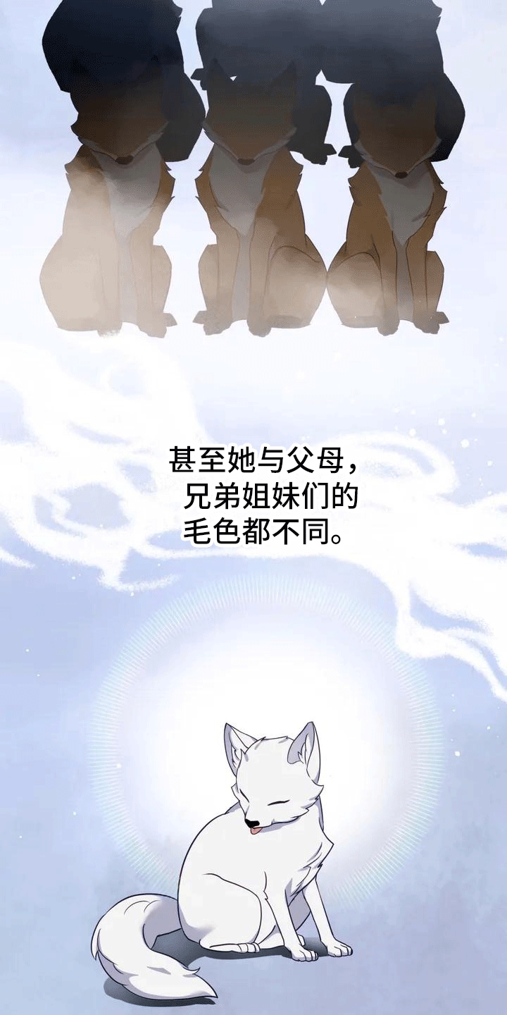 《养虎为患》第2章抛弃 第20页