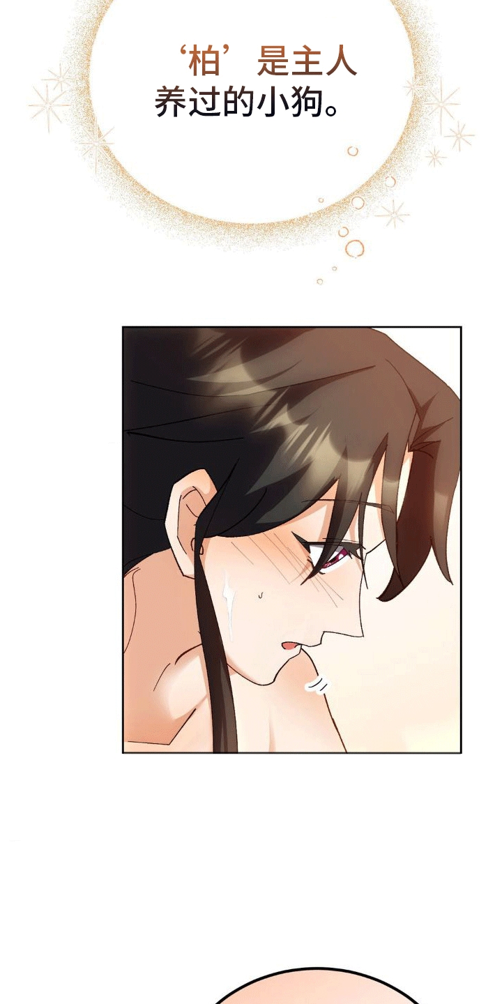 《穿越即破产》第8章请求 第5页