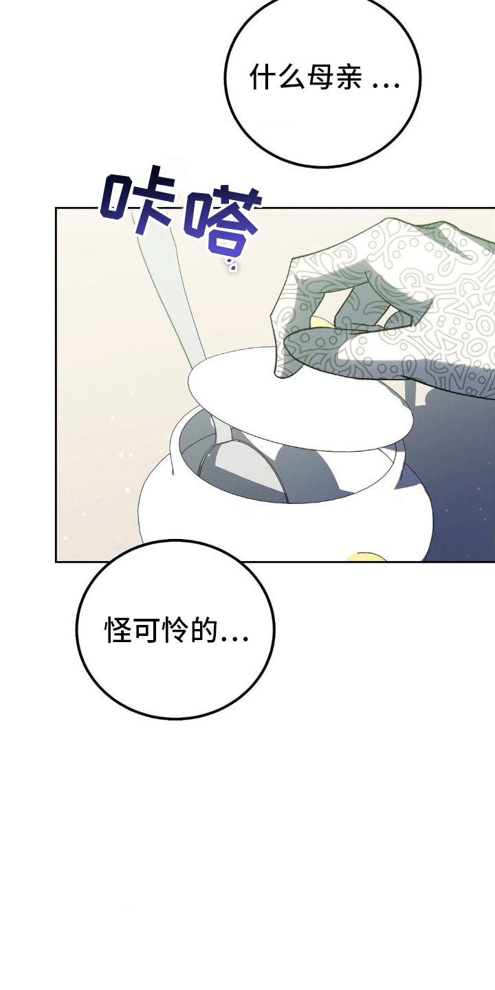 《穿越即破产》第11章母亲 第15页