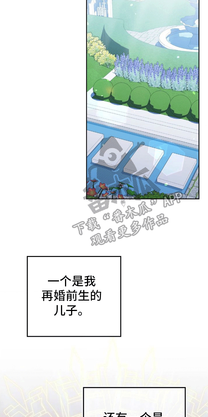 《穿越即破产》第11章母亲 第20页