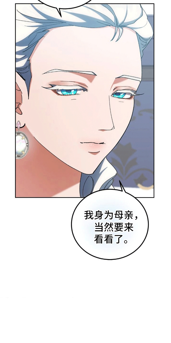 《穿越即破产》第11章母亲 第4页