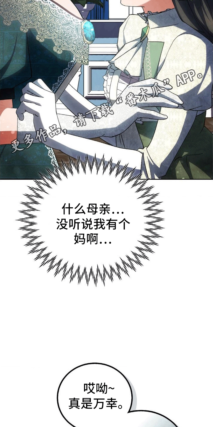 《穿越即破产》第11章母亲 第6页