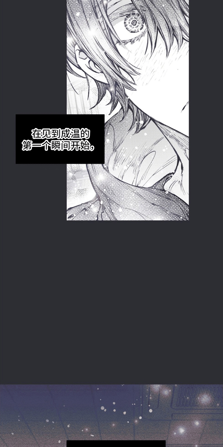 《指控日记》第4章一见钟情· 第14页