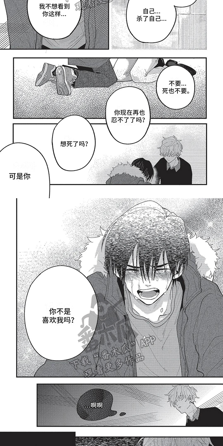 《再爱你一次》第16章愧疚 第2页