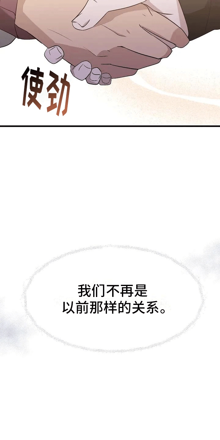 《爱的形状》第3章再见故人 第31页