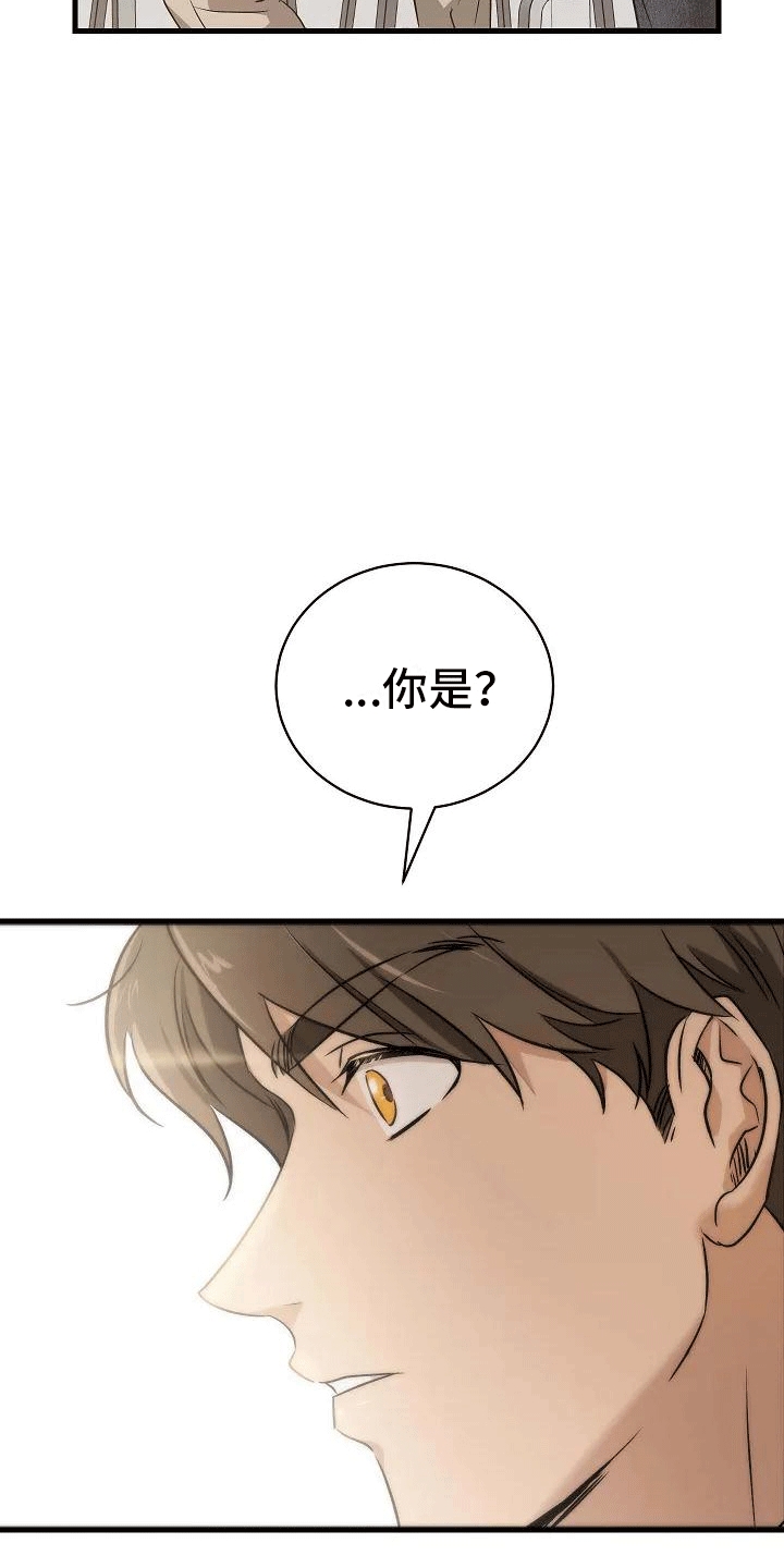 《爱的形状》第3章再见故人 第5页