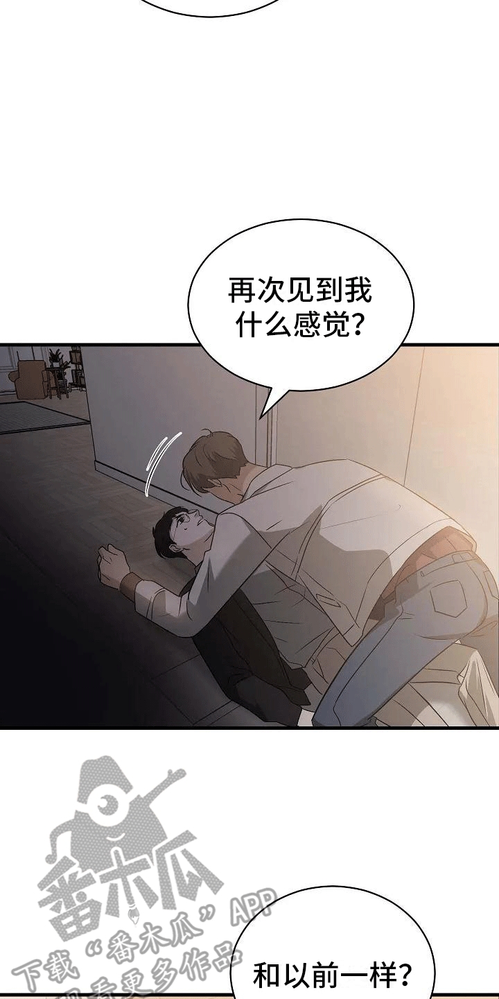 《爱的形状》第5章带回家 第16页