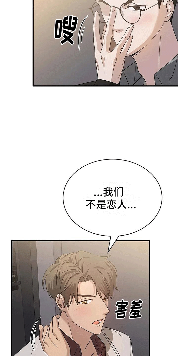 《爱的形状》第5章带回家 第32页