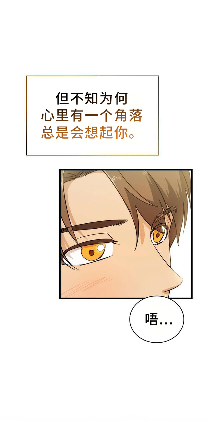 《爱的形状》第12章还能再见吗 第13页