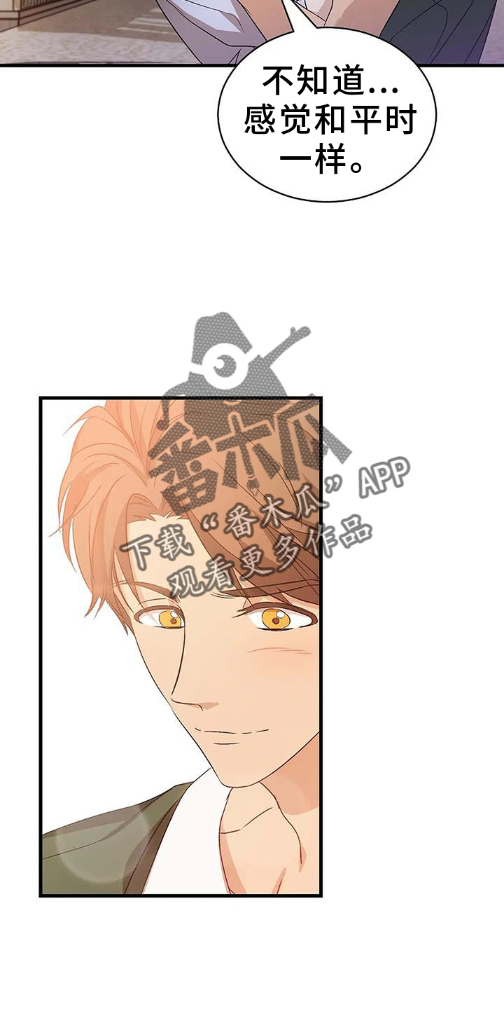 《爱的形状》第14章行动 第4页