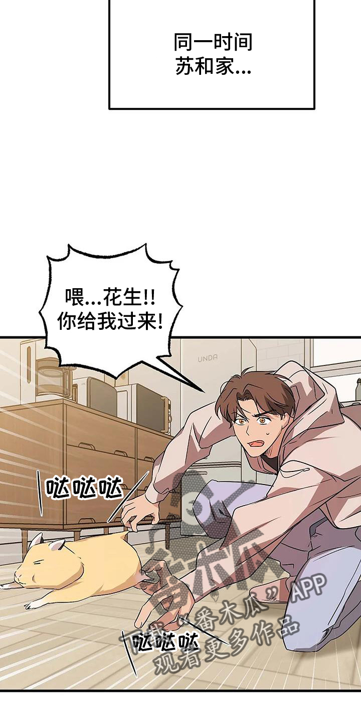 《爱的形状》第20章上门 第14页