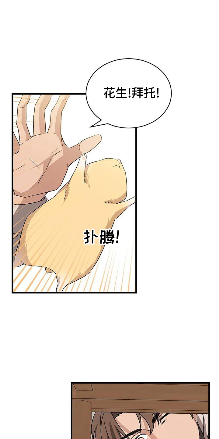 《爱的形状》第20章上门 第15页