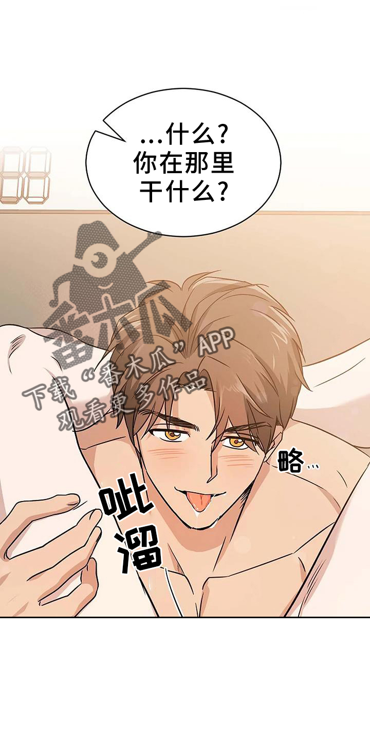 《爱的形状》第21章准备 第12页