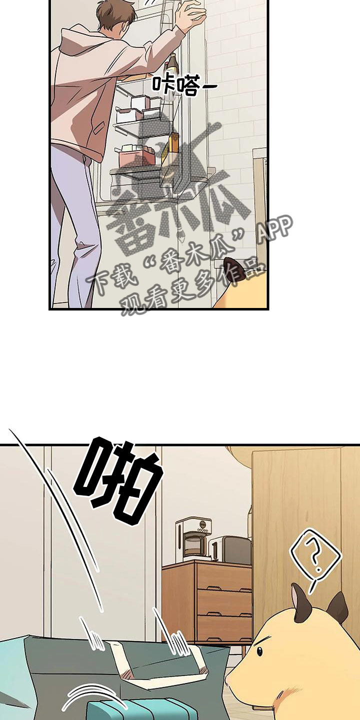 《爱的形状》第22章质问 第6页