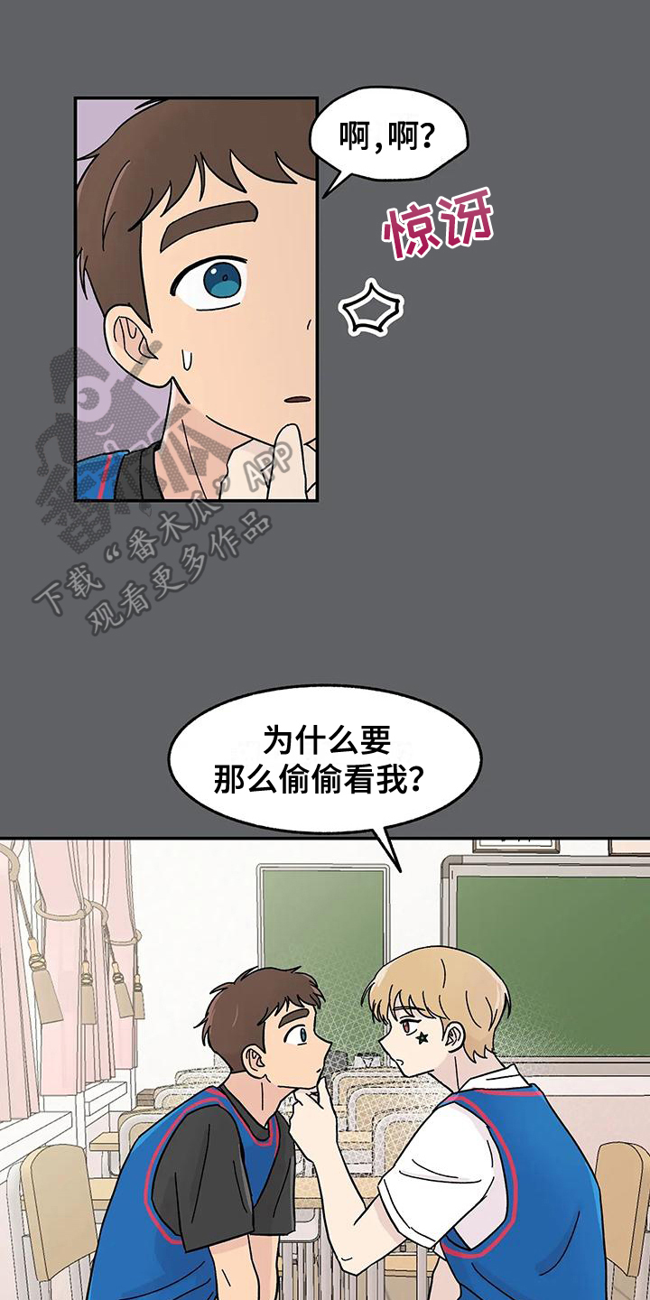 《平衡游戏》第15章泰然 第1页