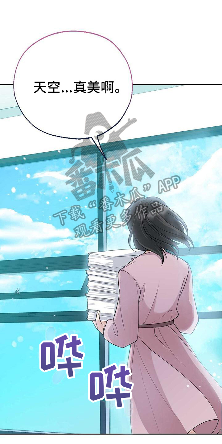 《明星合同》第5章陌生 第1页