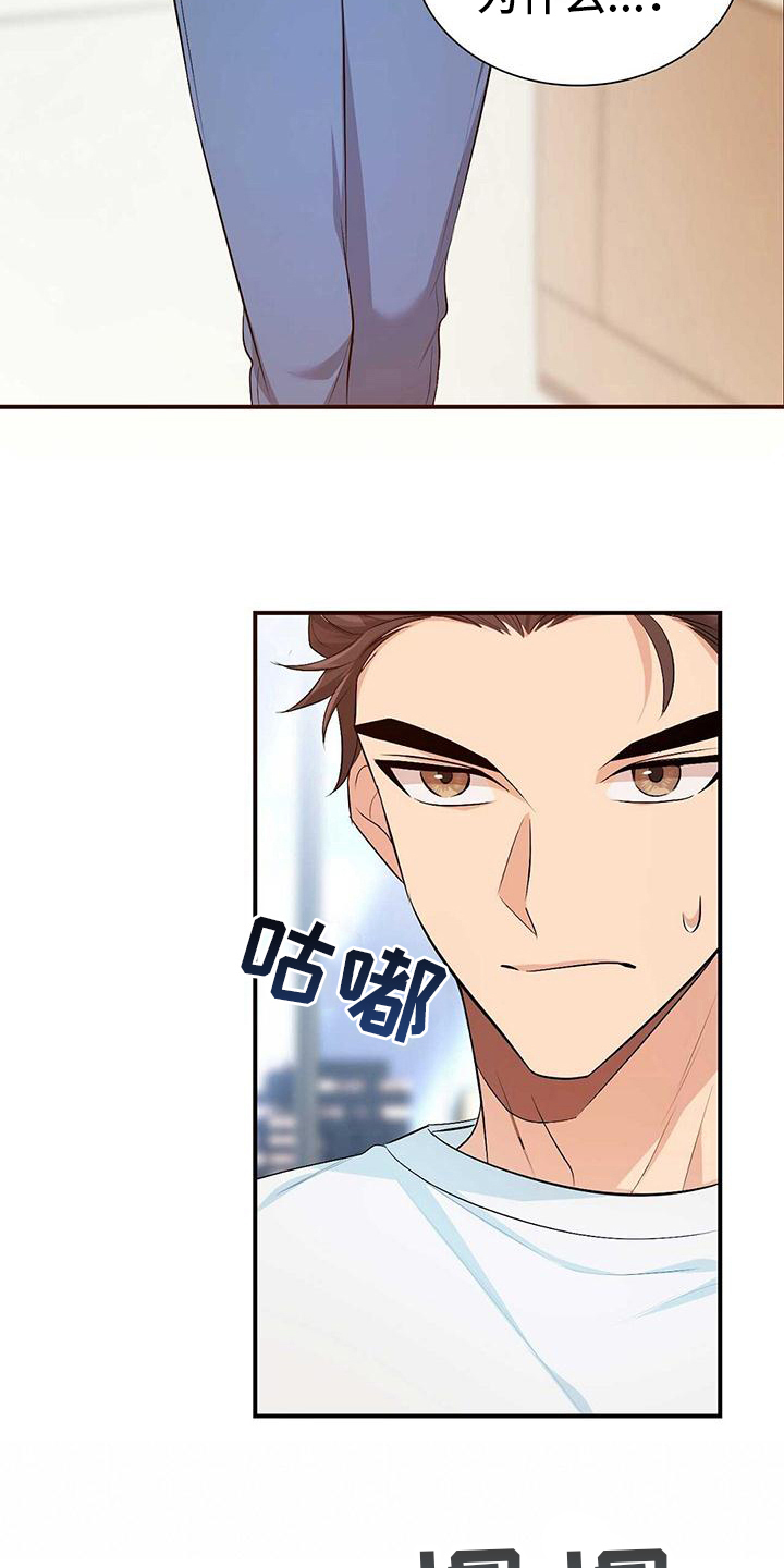 《明星合同》第21章香气 第10页
