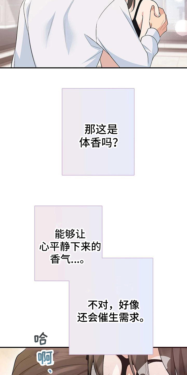 《明星合同》第21章香气 第18页