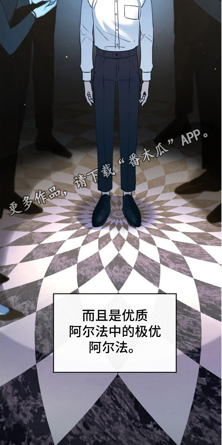 《劣性分化》第20章极优阿尔法 第11页