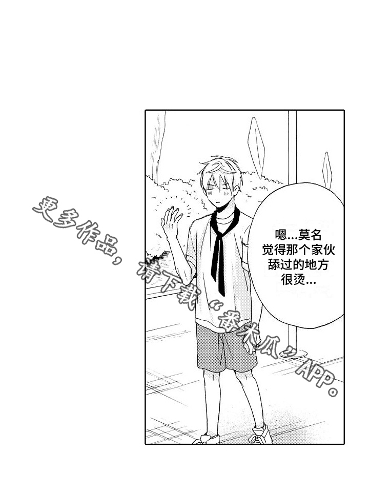 《真心打动》第17章真心 第17页