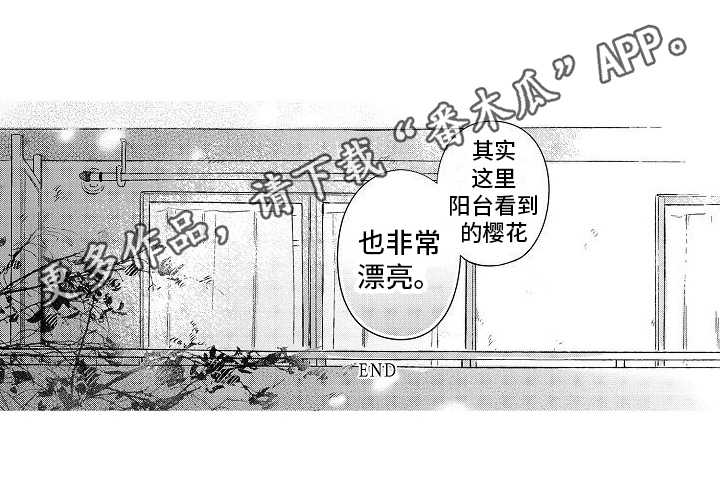 《春风吹向失恋的人》第27章【番外】春日的樱花 第15页