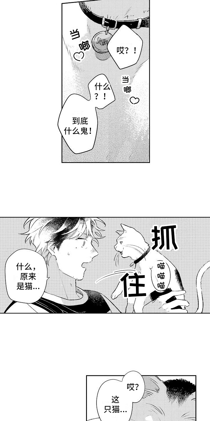 《春风吹向失恋的人》第23章思念 第7页