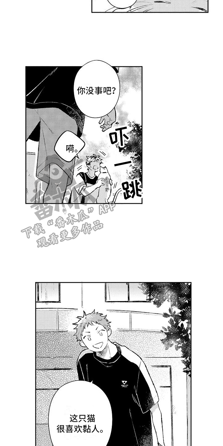 《春风吹向失恋的人》第23章思念 第8页