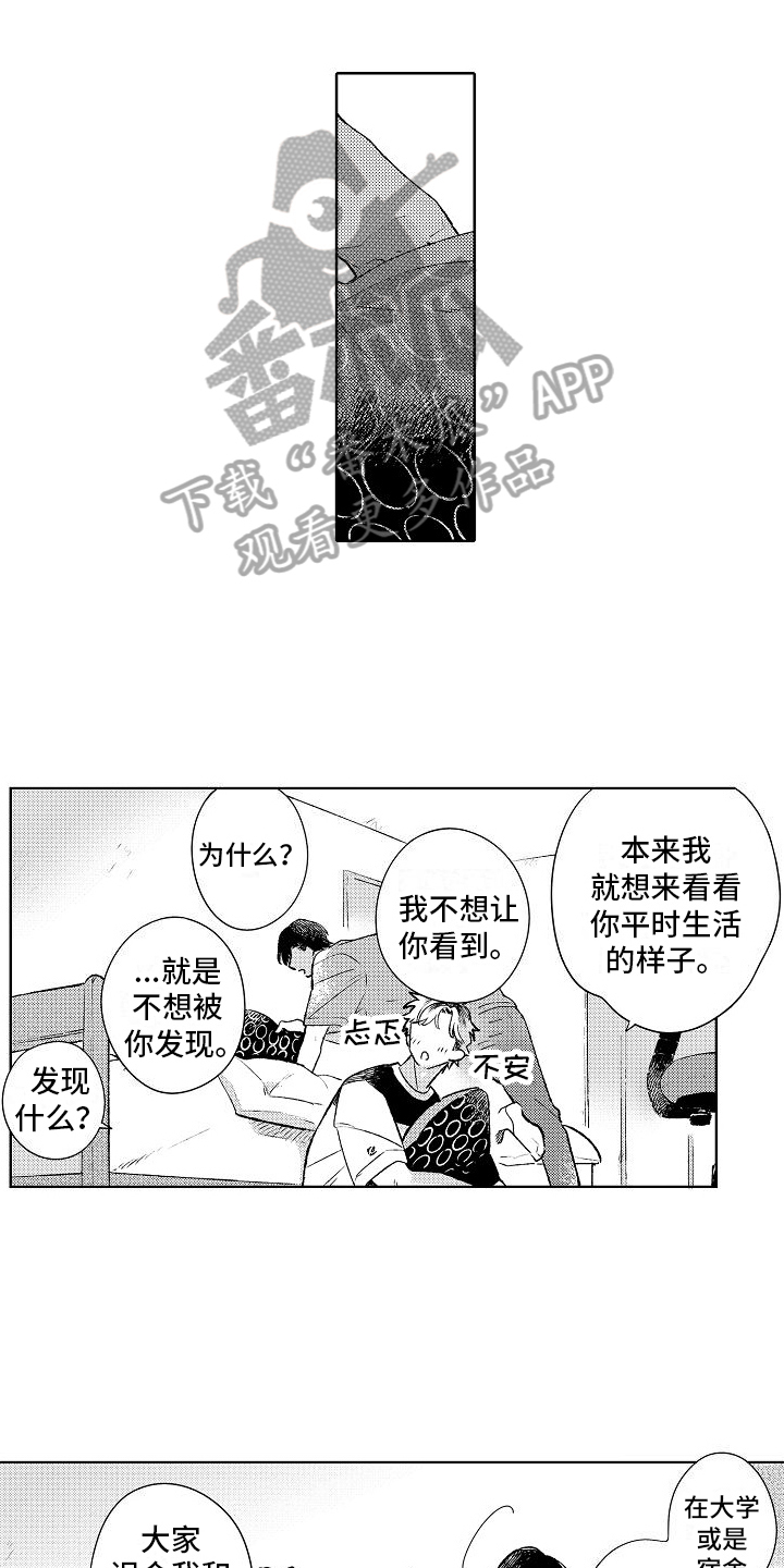 《春风吹向失恋的人》第24章计划 第1页