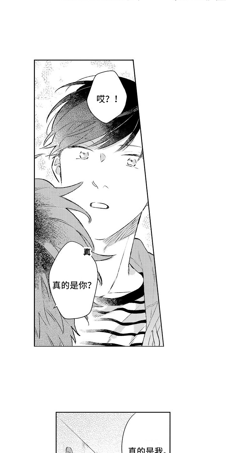 《春风吹向失恋的人》第19章很想你 第7页