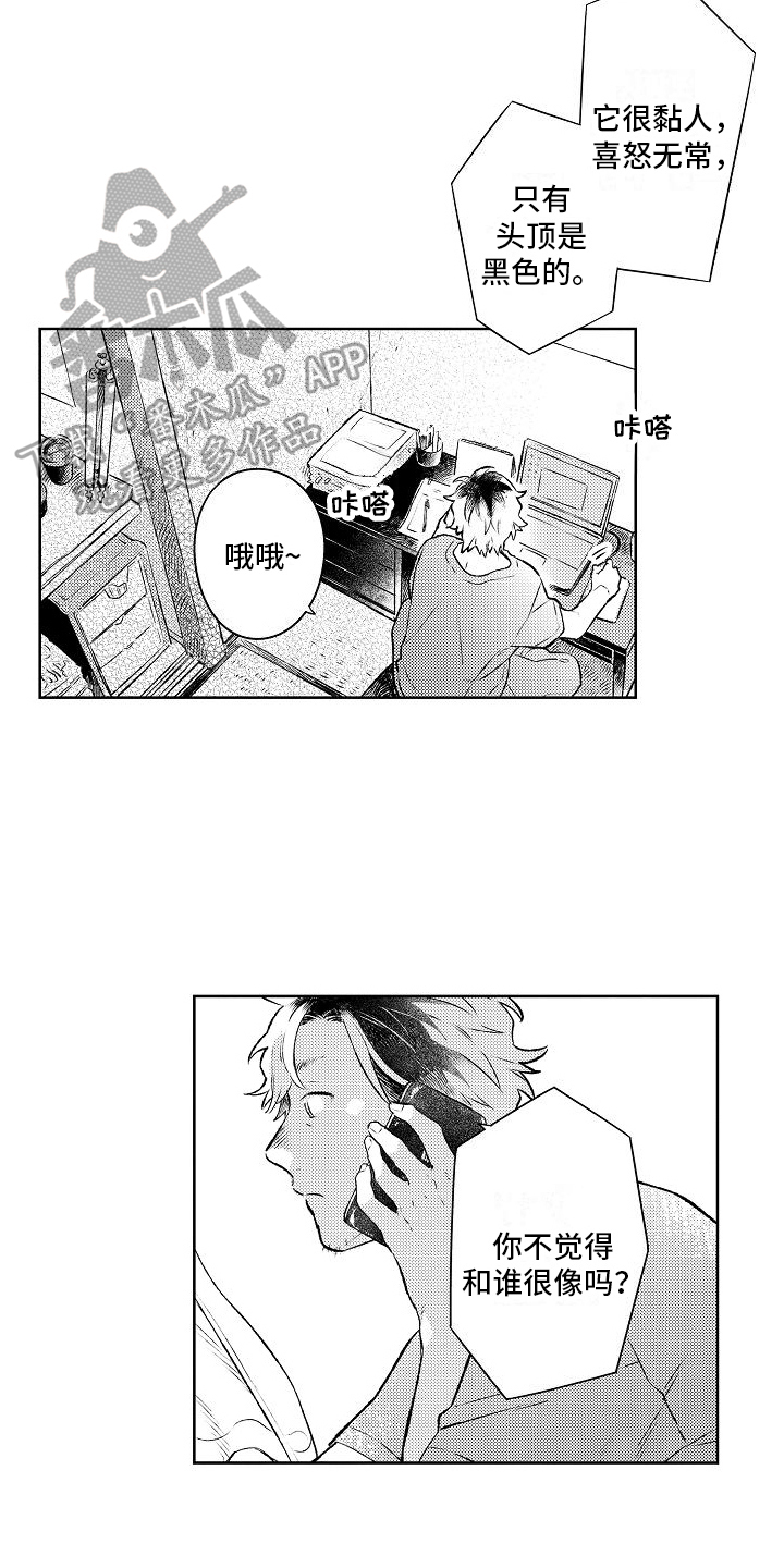 《春风吹向失恋的人》第11章成为恋人 第11页