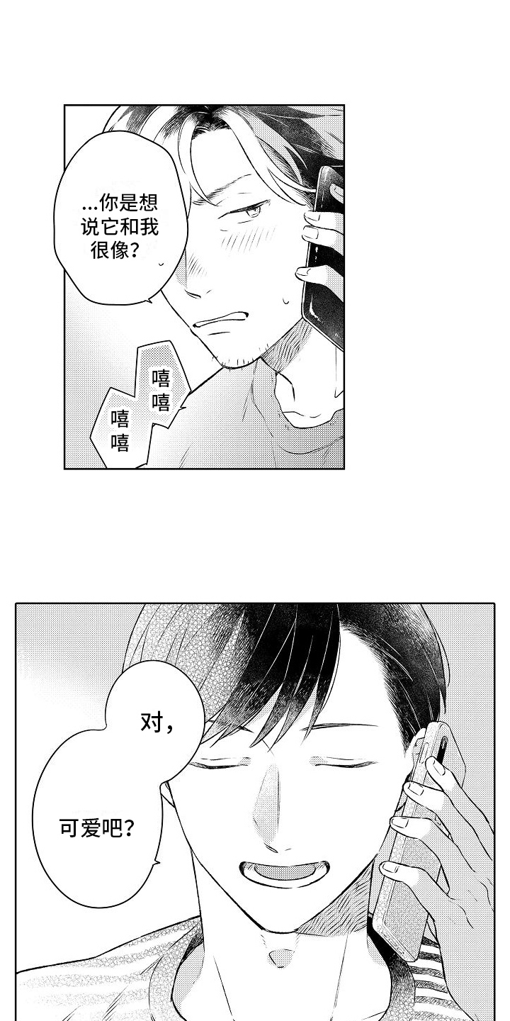 《春风吹向失恋的人》第11章成为恋人 第12页