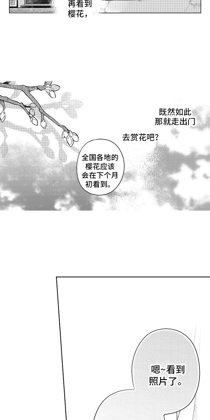 《春风吹向失恋的人》第11章成为恋人 第5页