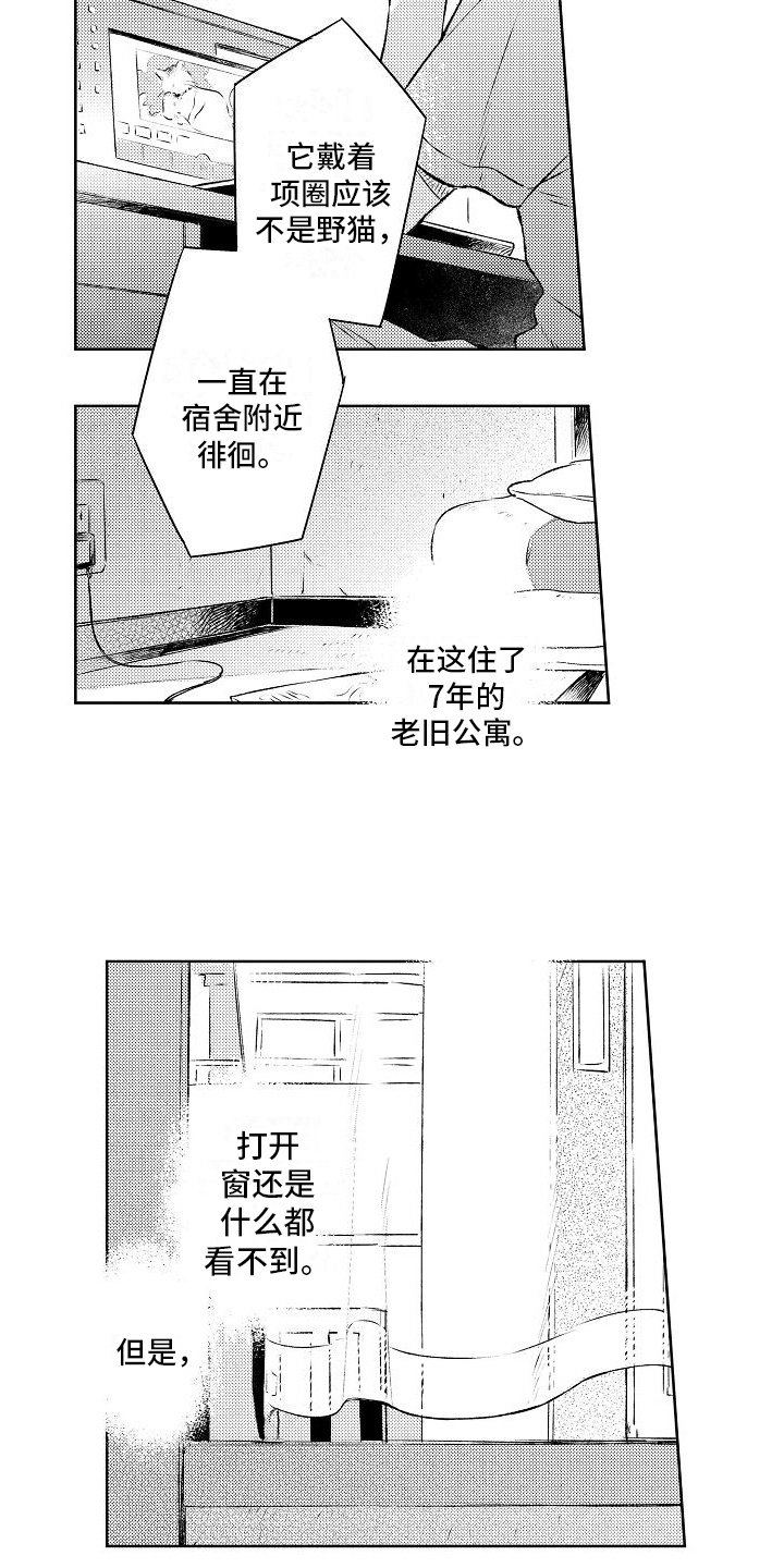 《春风吹向失恋的人》第11章成为恋人 第7页