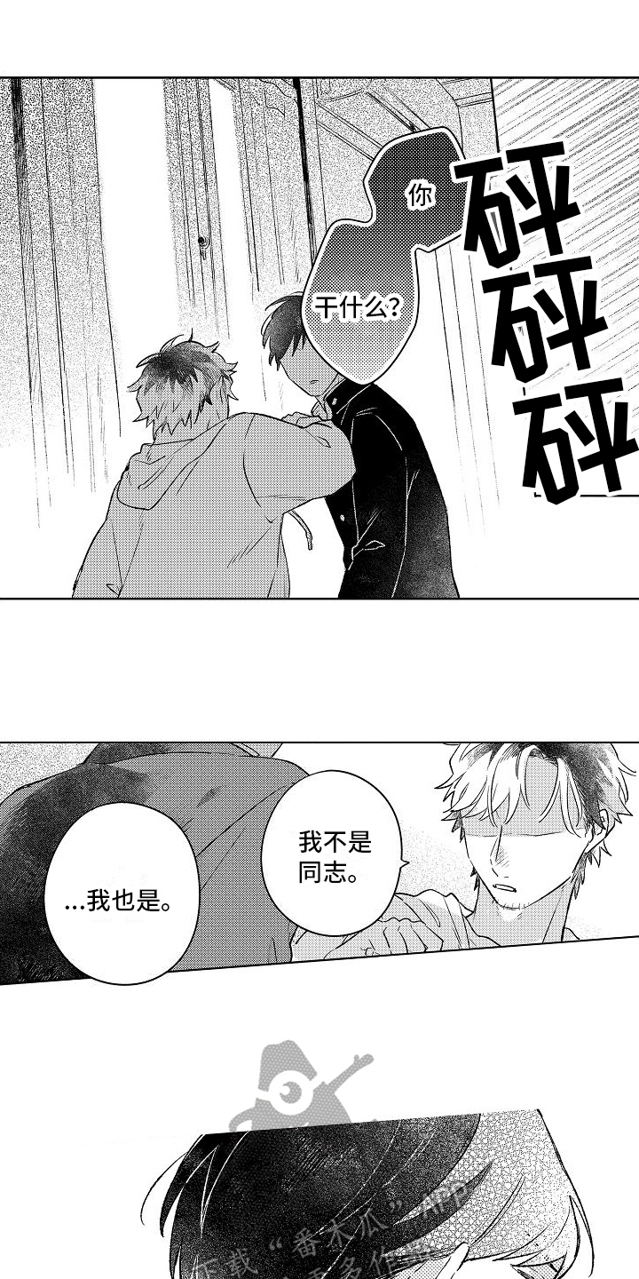 《春风吹向失恋的人》第9章表白 第2页