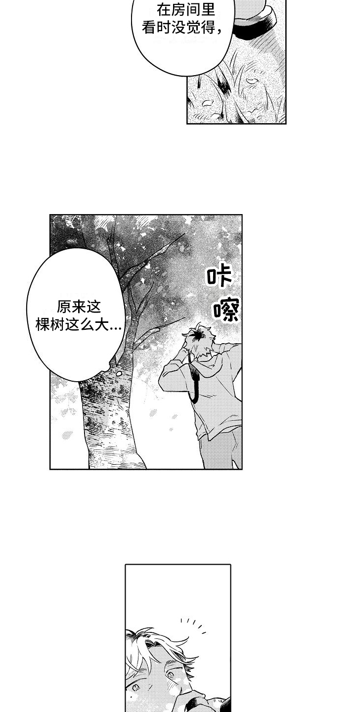 《春风吹向失恋的人》第1章烦恼 第12页