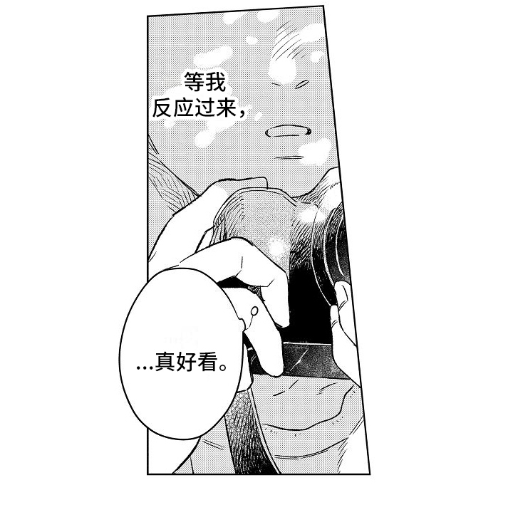 《春风吹向失恋的人》第1章烦恼 第14页