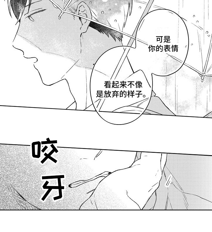 《春风吹向失恋的人》第3章不再拍照 第15页