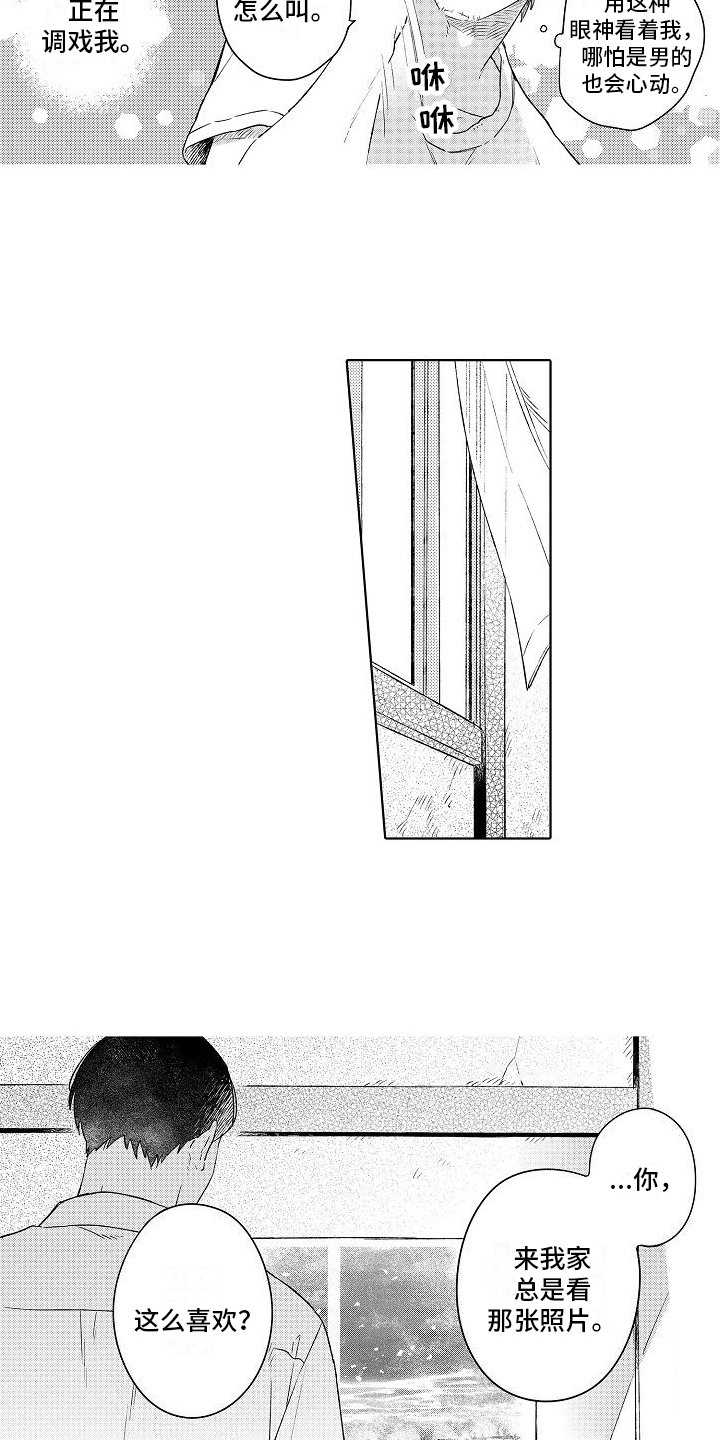 《春风吹向失恋的人》第3章不再拍照 第2页
