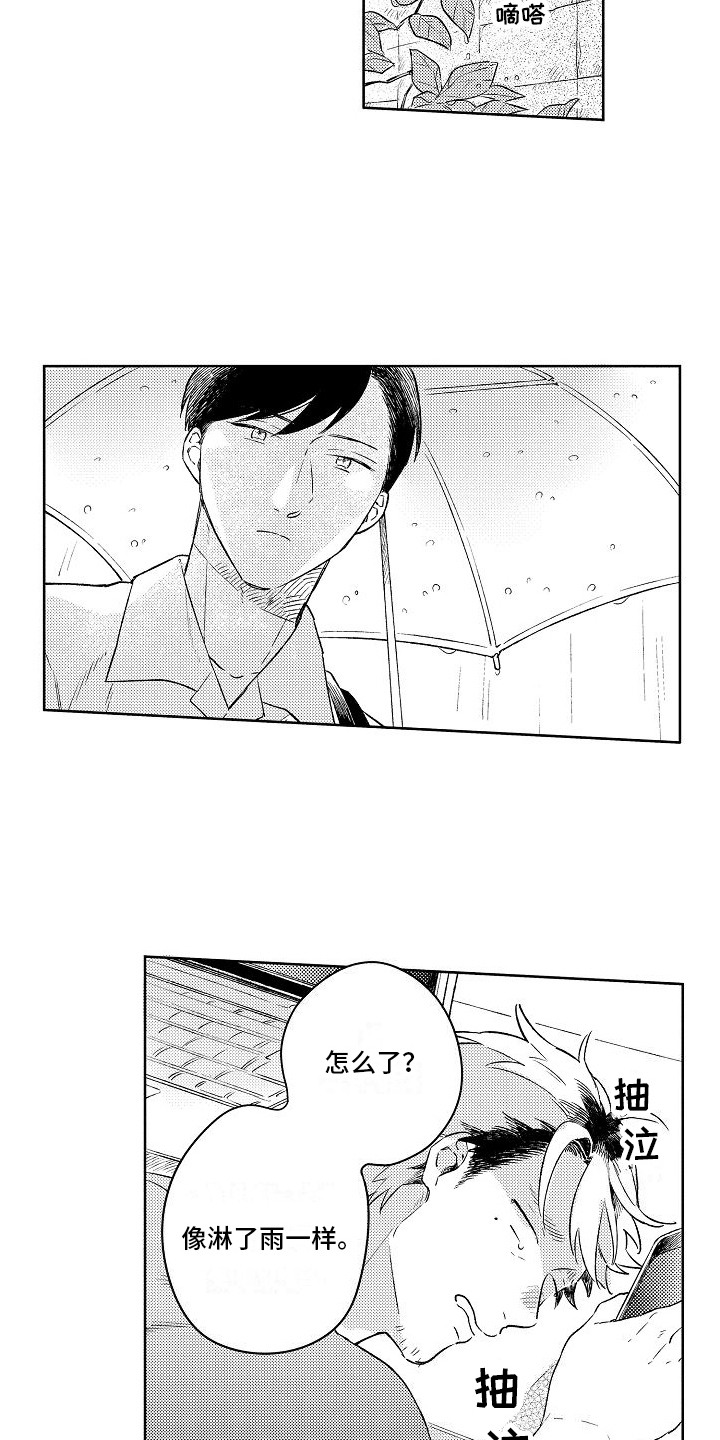 《春风吹向失恋的人》第3章不再拍照 第9页