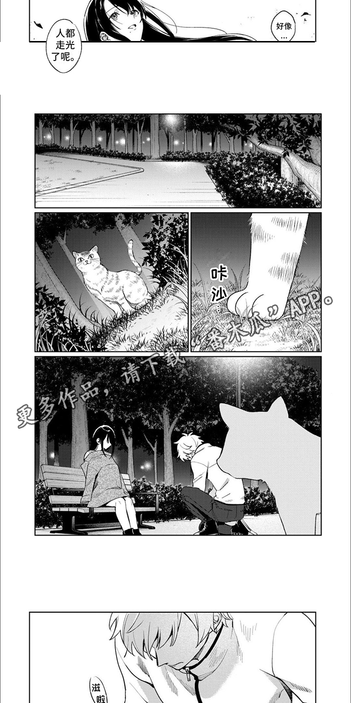 《摄影风格》第8章拍摄 第2页