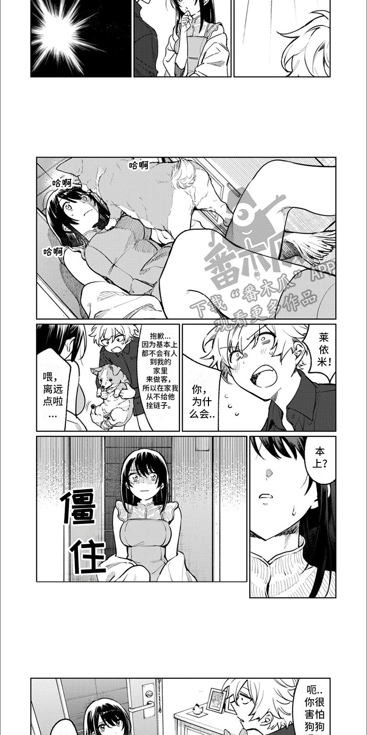 《摄影风格》第13章眼罩 第3页