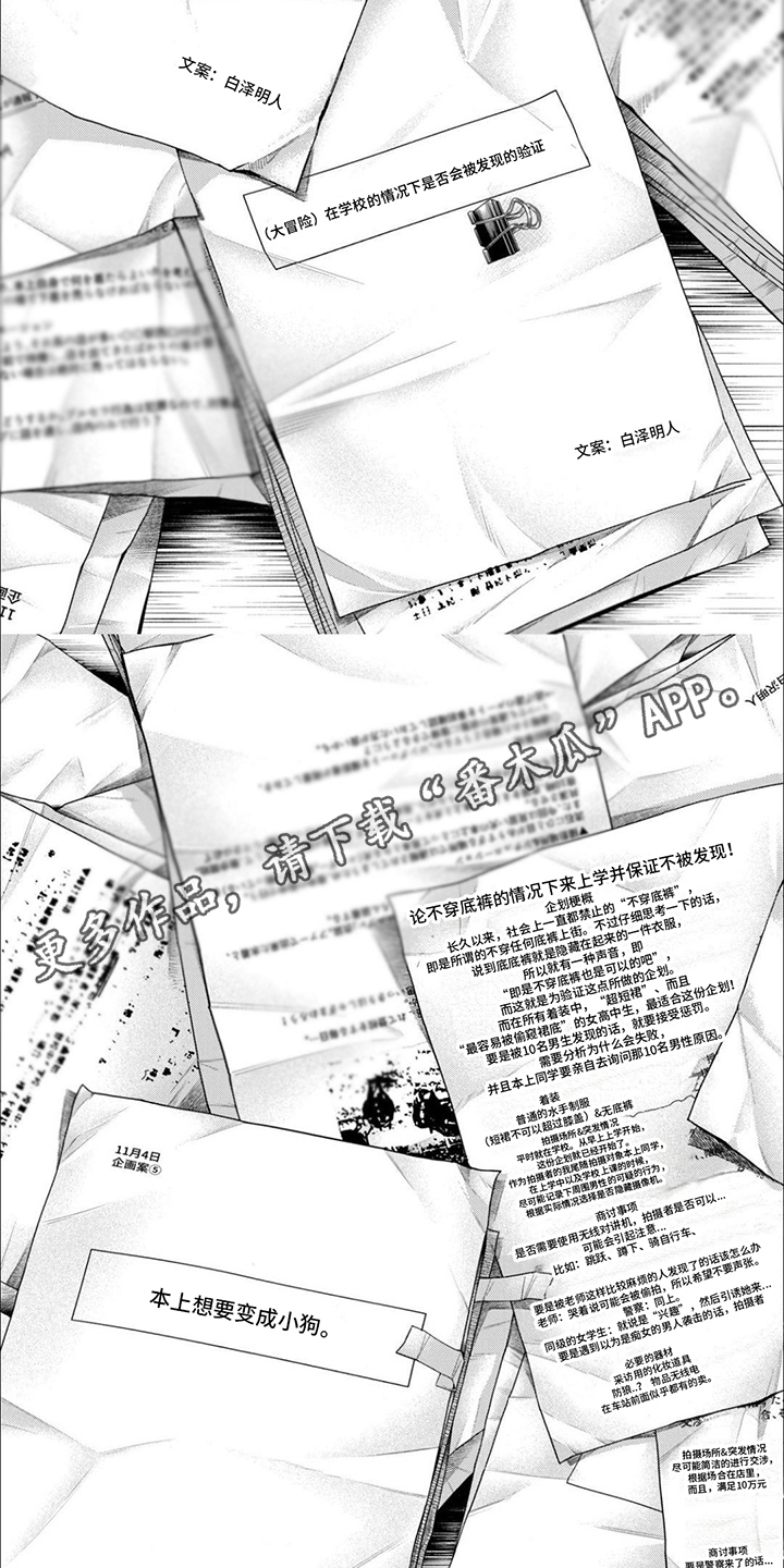 《摄影风格》第11章企划书 第2页